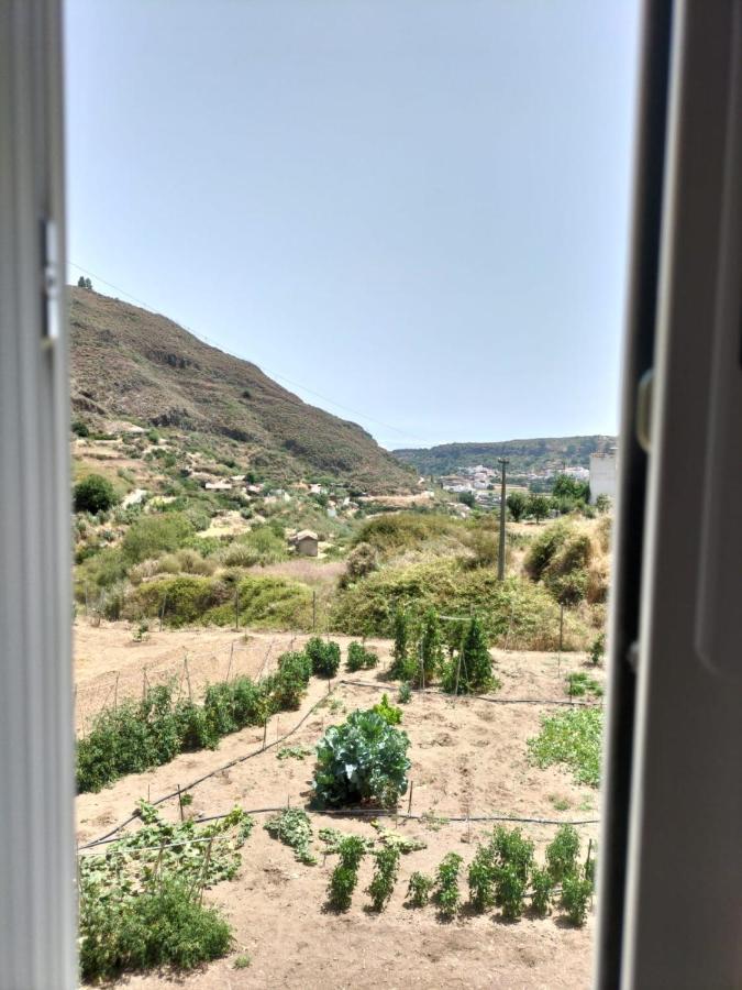 Casa Azul Mountain Retreat Lejlighed Vega de San Mateo Eksteriør billede